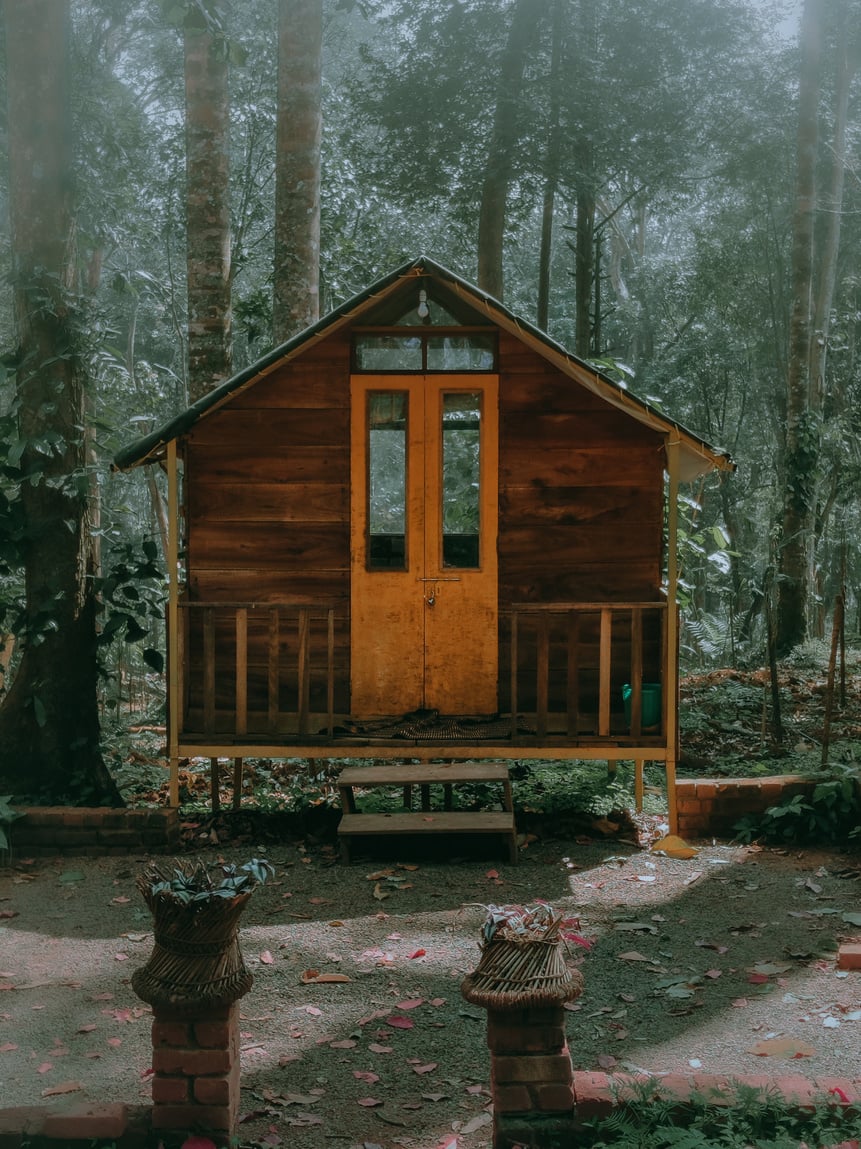 Cabin in the Woods